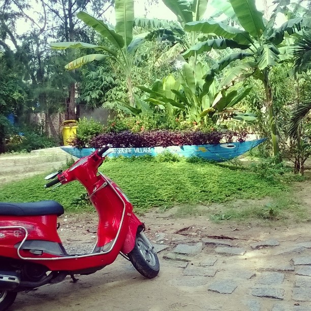 InstagramCapture_03a5e248-ab03-4e50-a622-920771db9841_jpg