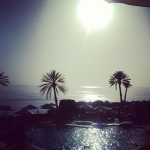 10448995_1556368567958385_339494535_n