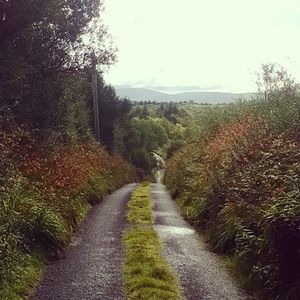 11375387_1628240664120237_938780339_n