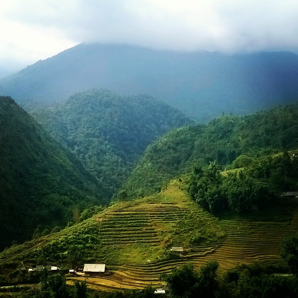 12080680_604561263017656_1842109944_n