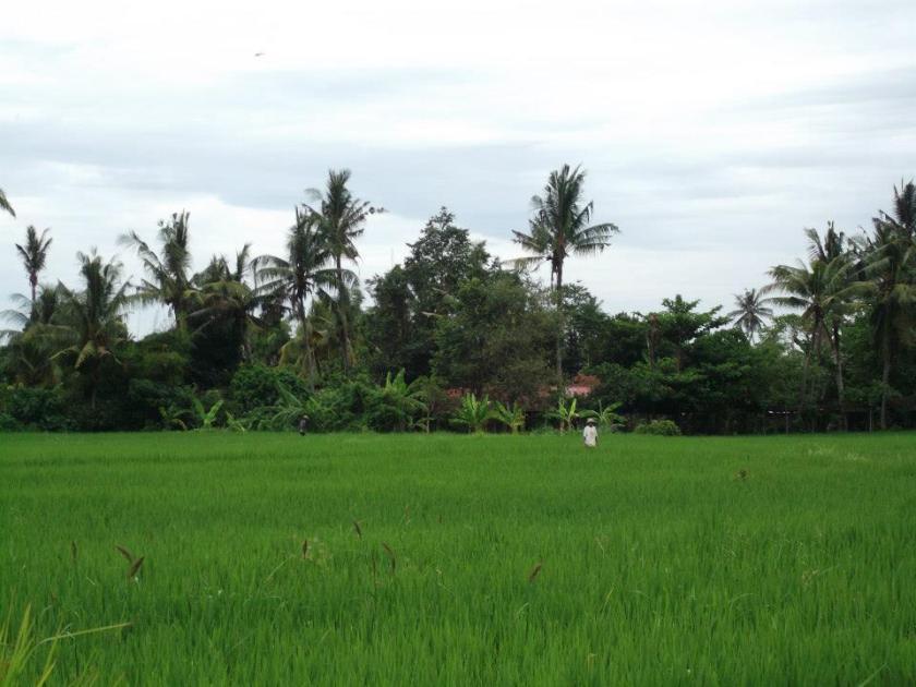 11146182_10205591430696458_1378950056591833722_n