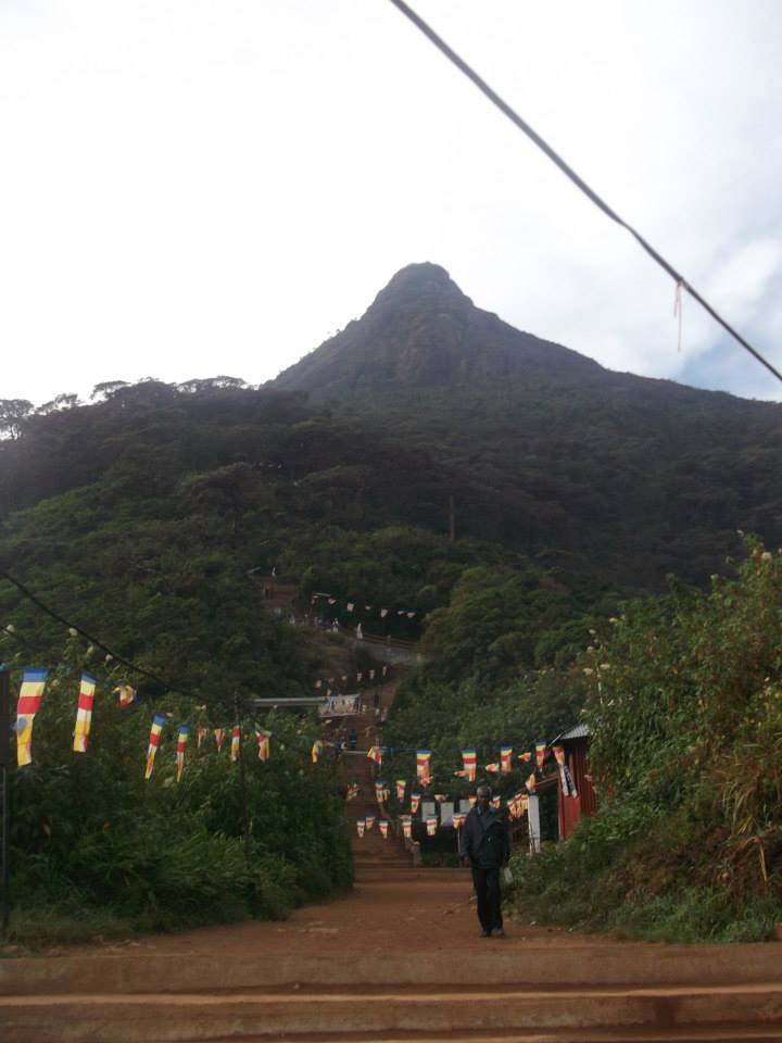 1901157_10202964819312815_5679789640427738670_n