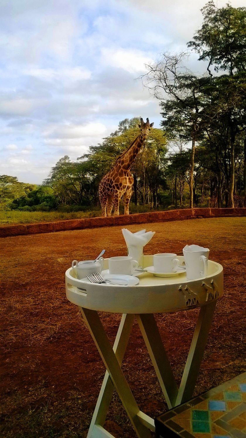 10379547_10203614704399536_1736000800654381585_o