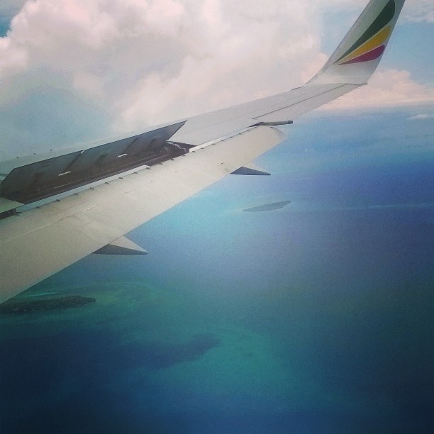 10693673_299945840199887_1330453694_n